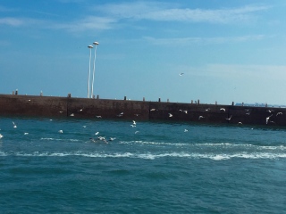 日照世帆赛基地