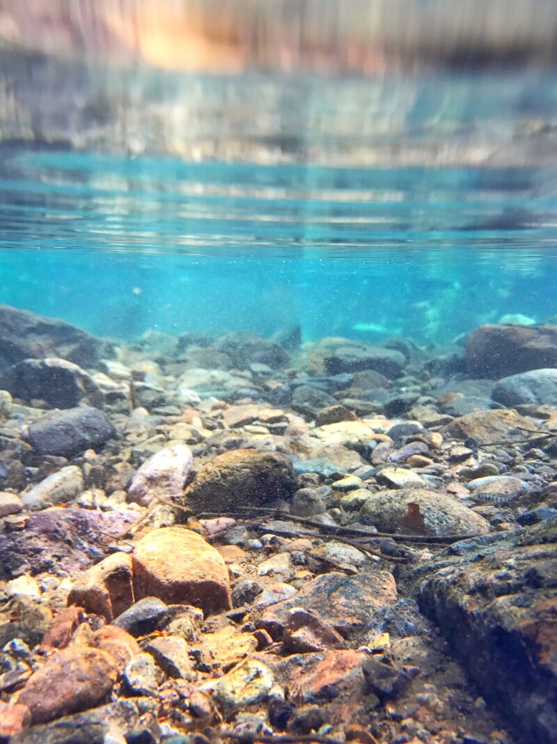 衢州亲水踏溪流连浙南赏鱼吃螺忘返