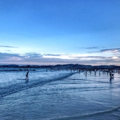 景点模块 