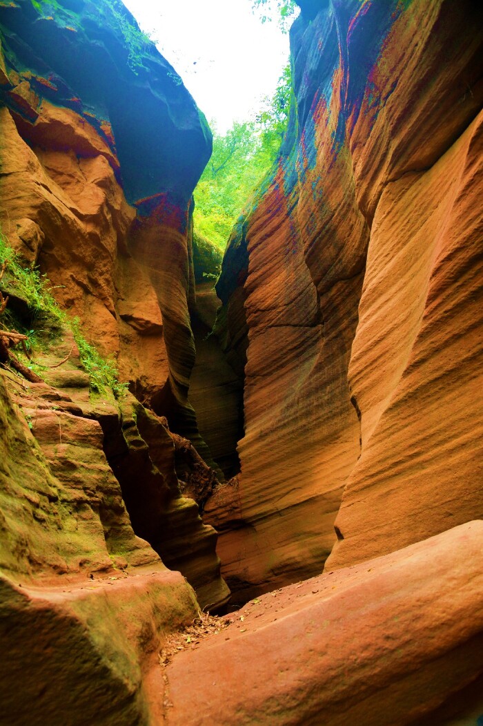 老年人去延安,羚羊谷旅游【途牛首发】.【多图】_陕西游记_途牛