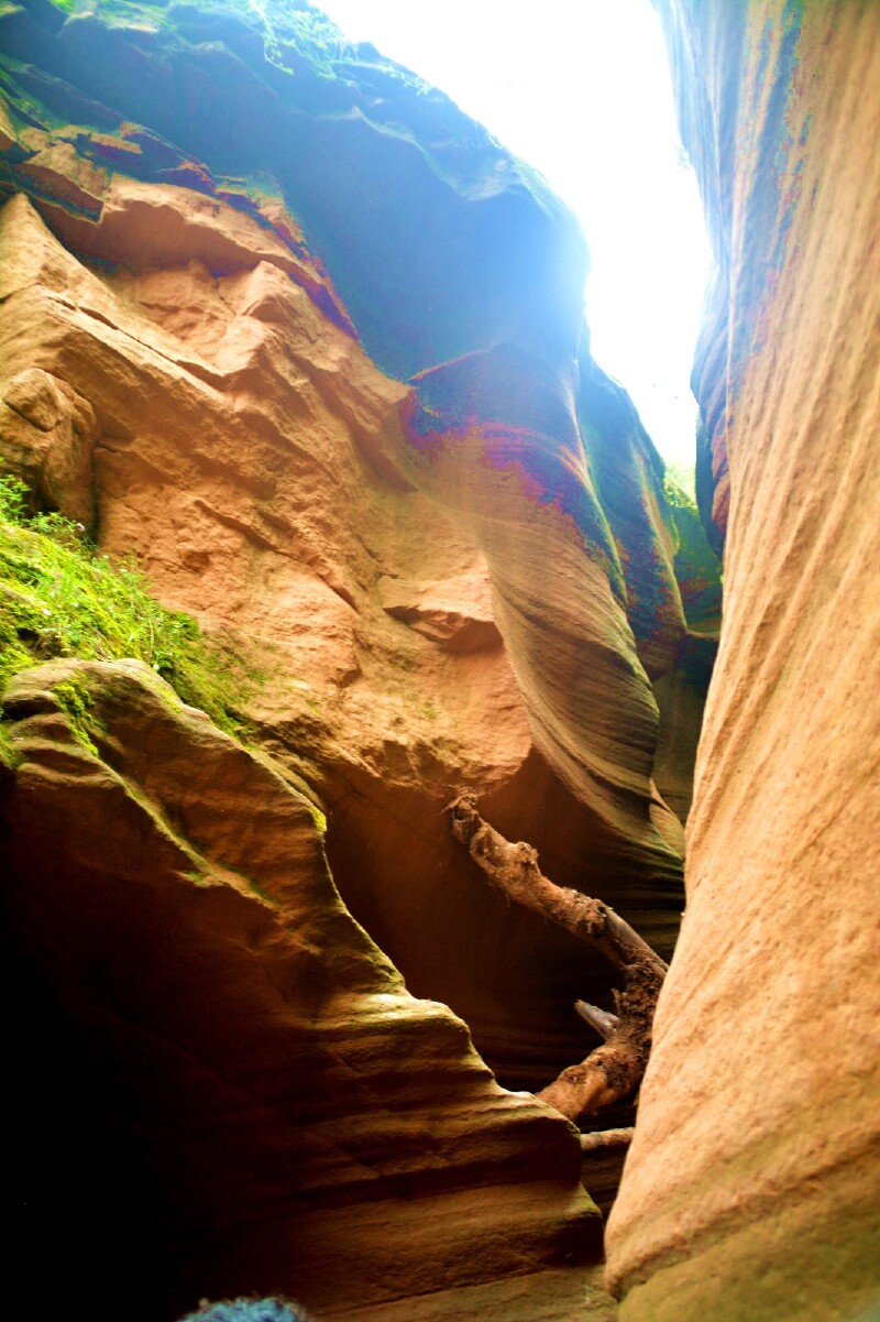 老年人去延安,羚羊谷旅游【途牛首发】.