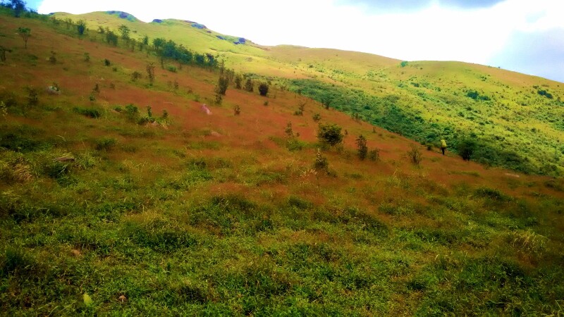 广州几步路户外成长计划四(高山穿越)