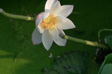 无锡长广溪宾馆预订