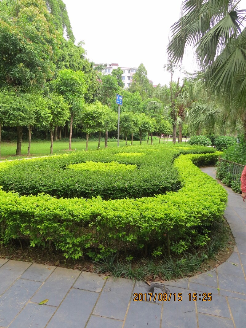 新秀公园很休闲