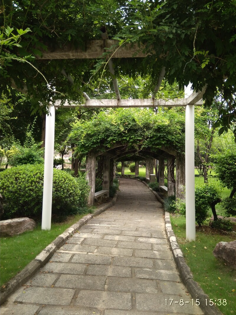 新秀公园很休闲