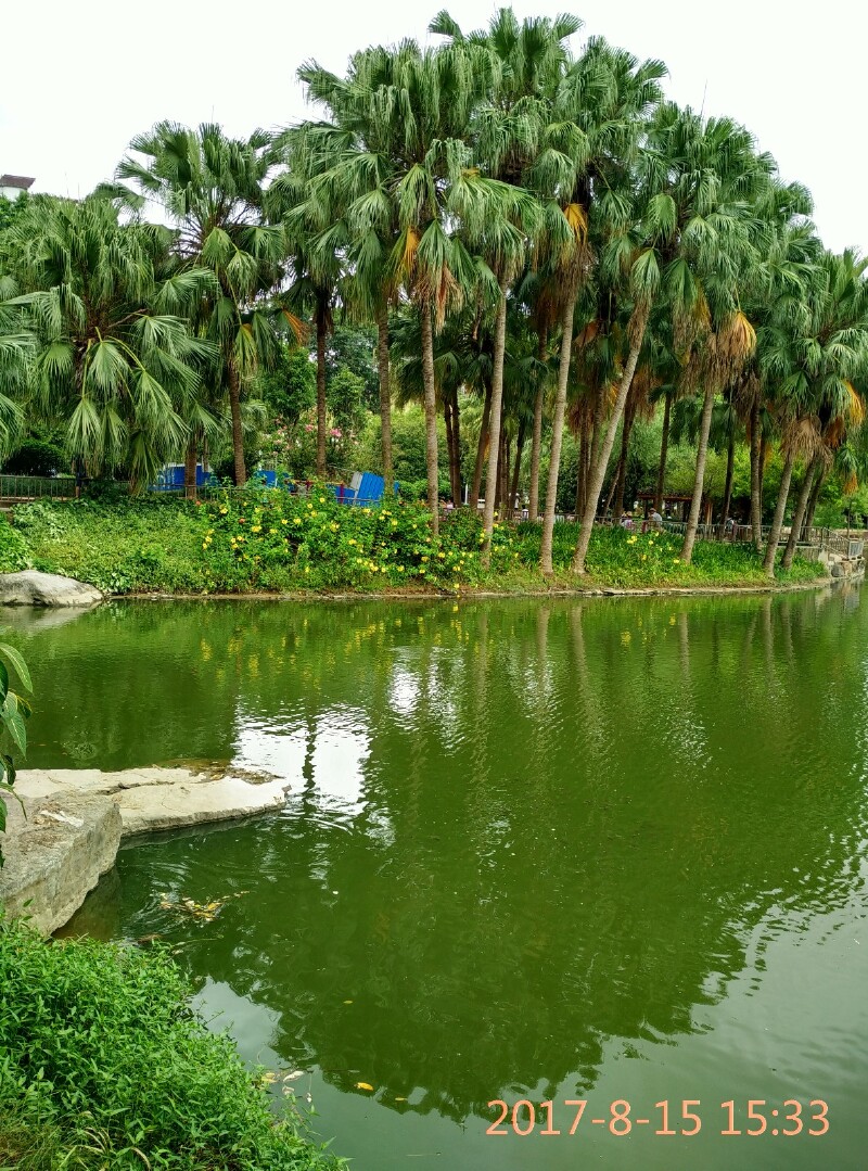 新秀公园很休闲