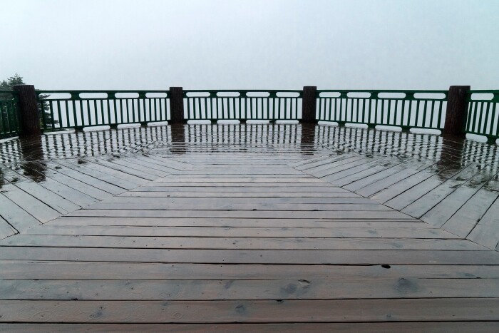 唯可见观景台通道旁的松柏,有烟雨作背景,看上去还很不错.