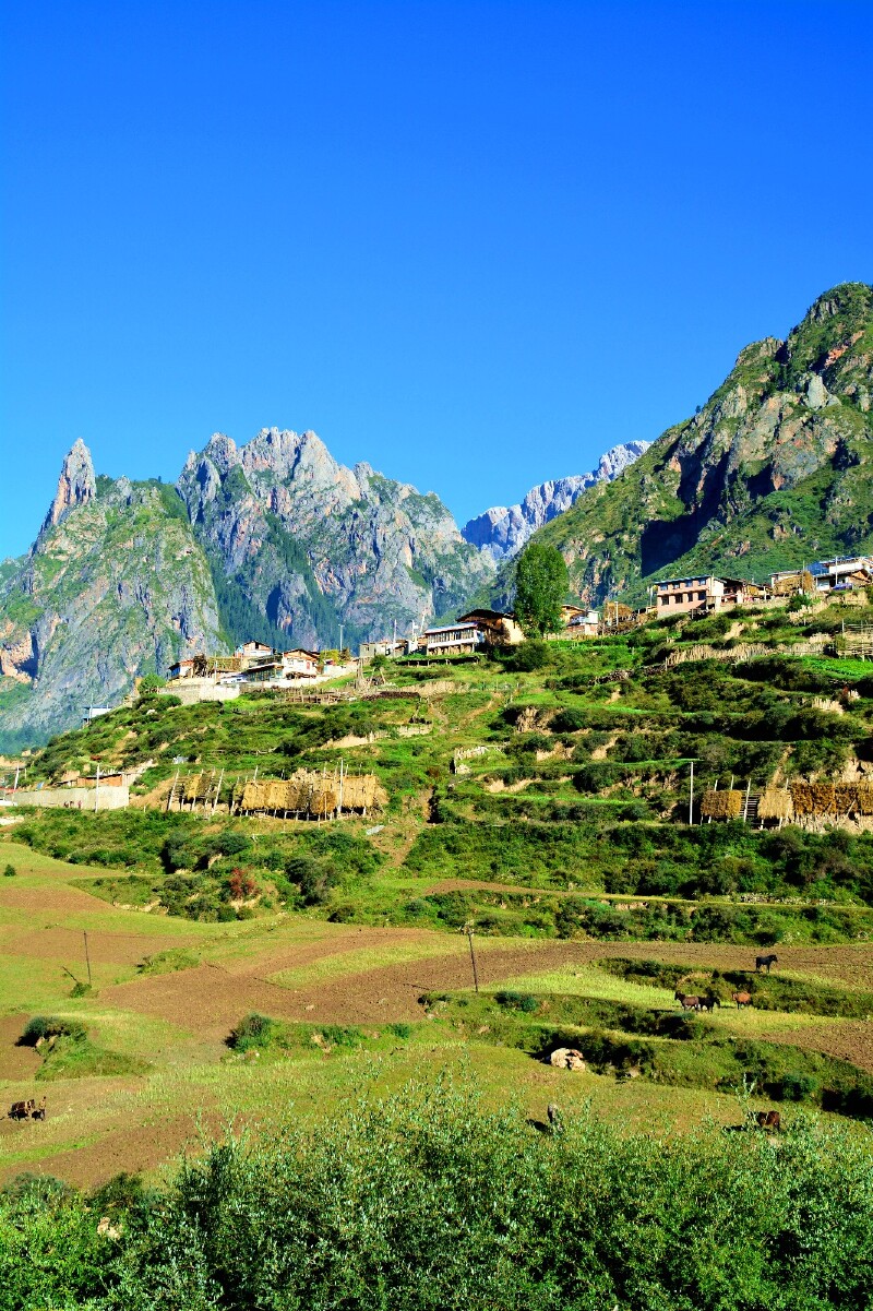 老年人去甘肃,扎尕那旅游【途牛首发】.