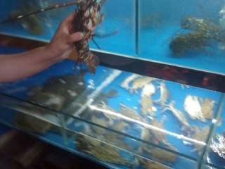 朋友圈烧烤俱乐部（青岛路店）