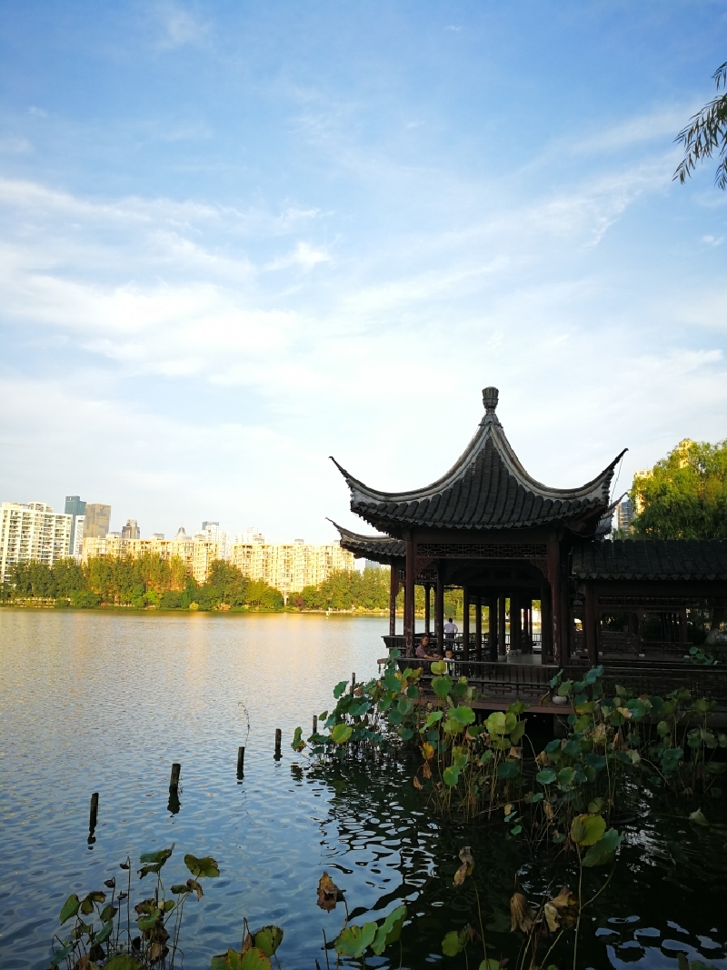 发现[南京]城中美景一一莫愁湖公园