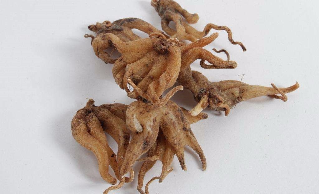 以手掌参(主要药材)等多种药材(沙参,党参,百合,莲子,贝母,薏仁)和