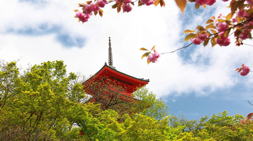 春节 日本大阪 京都 奈良 当地1日游 游双古都 清水寺怀古 奈良公园邂逅萌鹿 祗园 花见小路 天天发团 1人成行 游遍关西景点 出发 途牛