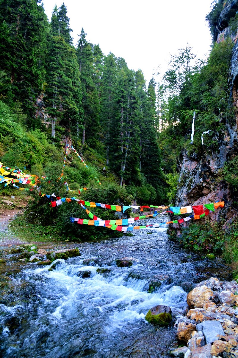 老年人去夏河拉卜楞寺郎木寺旅游途牛首发