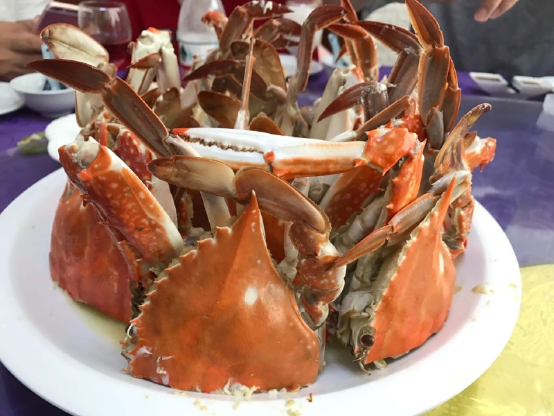 大陆最东人居岛嵊山枸杞岛享受慢生活