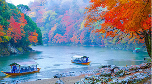 ★遇见红叶季★日本本州富士山南线之私人温泉
