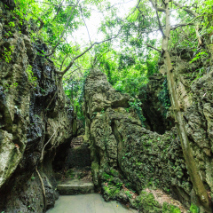 POI-12107-安顺天星景区_2