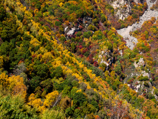喇叭沟门原始森林公园