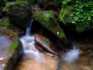 本溪国家森林公园