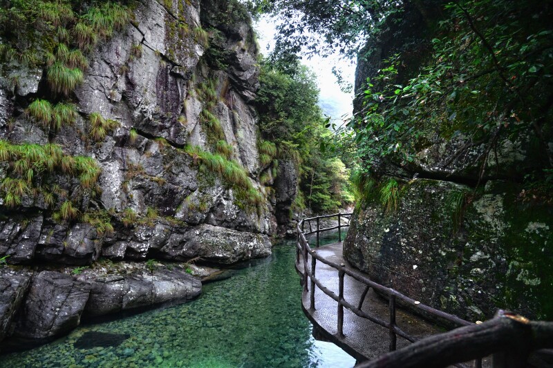 清凉的小雨洗去了尘霾,即刻的龙门花木山石格外艳丽.