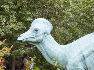 卡尔加里动物园