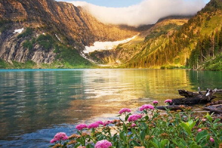 816会员日 商户精选