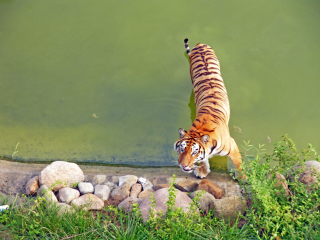 合肥野生动物园