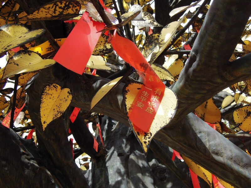 在"发财树"上面,红色丝带写着不同字迹.