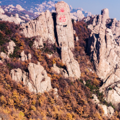 青岛崂山巨峰双福