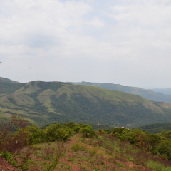Serenity of Mullayanagiri range of mountains near Chickmagalur, Karnataka, India beckon the tourists with their abundant natural beauty, greenery and cool weather, especially during summer.