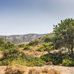 Gorge in the Mediterranean