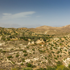 Mediterranean landscape