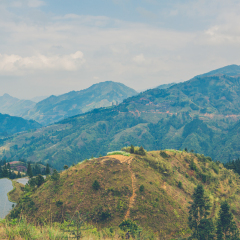贵州 黔东南 加榜 梯田 山谷 风光 田园 原生态 原始 森林 天然氧吧 种植 水稻 农人 山峰 蓝天白云 低空山路