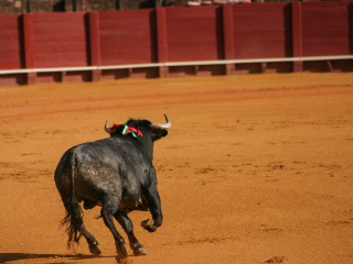 塞维利亚斗牛广场