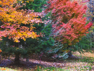 草坪山国家公园
