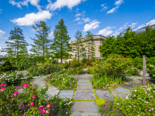 美国国家植物园