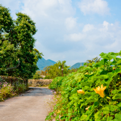 Rural scenery of Asan City Oeam Folk Village in South Korea.