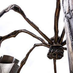 The Bourgeois spider