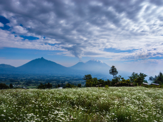 卢旺达火山国家公园