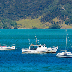 Fishing boats in  Bay of Islands, New Zealand, New Zealand.