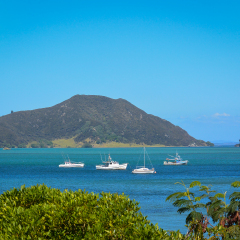 Fishing boats in  Bay of Islands, New Zealand, New Zealand.