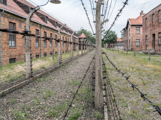 奥斯维辛集中营