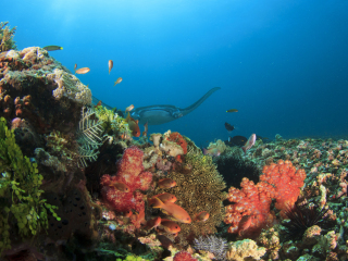 巴厘岛国立国家公园