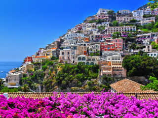 坎帕尼亚Campania