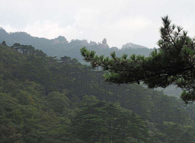 黄山 应该早一点爬的山 四 黄山 攻略游记 途牛