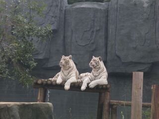 常州淹城野生动物园