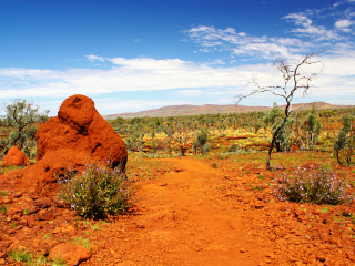 大沙漠荒野公园