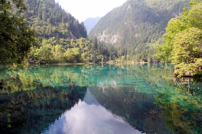 第一天 成都-九寨溝 旅遊大巴 清晨,跟著牛牛,帶著興奮和好奇,我們