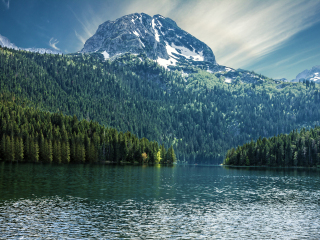 阿尔卑斯国家公园