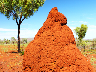 大沙漠荒野公园