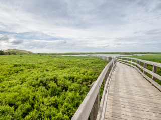 爱德华王子岛国家公园